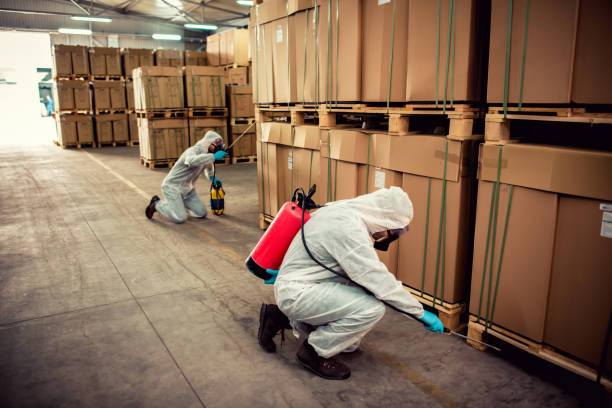 Best Pest Prevention Services  in Wills Point, TX