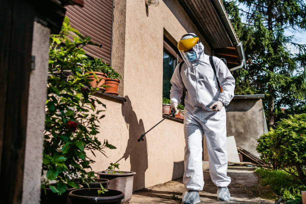 Best Pest Removal Services  in Wills Point, TX