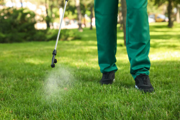 Professional Pest Control in Wills Point, TX